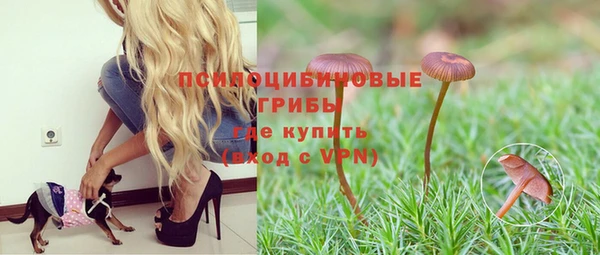 бутик Аркадак