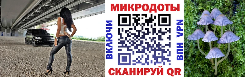 как найти   Строитель  Псилоцибиновые грибы GOLDEN TEACHER 